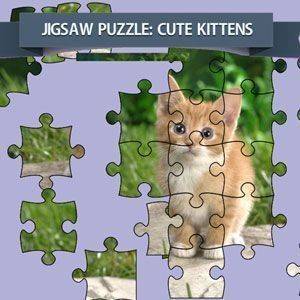 Feline Photo Puzzle Assembly - Ludoryx free online game