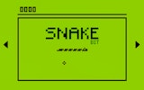 Pixel Serpent Chase - Arcade Classic
