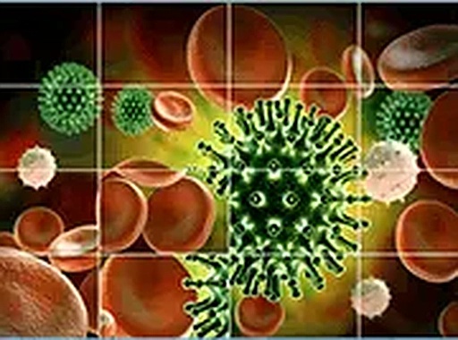 Coronavirus Slide Puzzle Game Online
