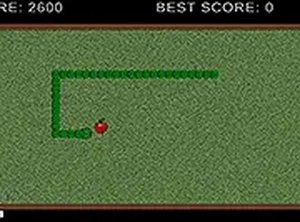 The Snake! Classic Arcade Game Online